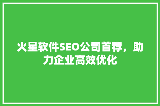 火星软件SEO公司首荐，助力企业高效优化