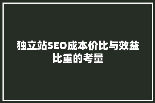 独立站SEO成本价比与效益比重的考量