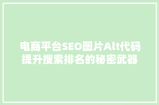 电商平台SEO图片Alt代码提升搜索排名的秘密武器
