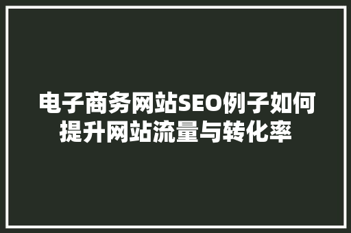 电子商务网站SEO例子如何提升网站流量与转化率