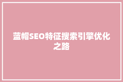 蓝帽SEO特征搜索引擎优化之路