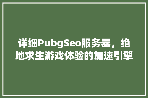 详细PubgSeo服务器，绝地求生游戏体验的加速引擎