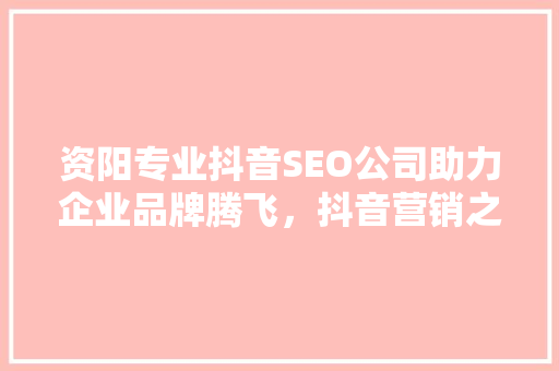资阳专业抖音SEO公司助力企业品牌腾飞，抖音营销之路