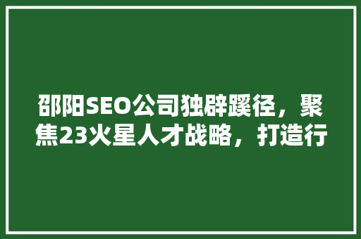 邵阳SEO公司独辟蹊径，聚焦23火星人才战略，打造行业新标杆
