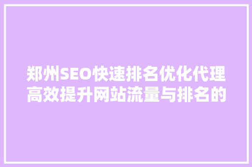 郑州SEO快速排名优化代理高效提升网站流量与排名的方法
