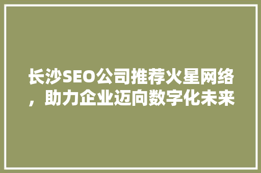 长沙SEO公司推荐火星网络，助力企业迈向数字化未来
