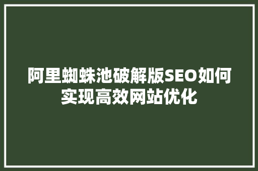 阿里蜘蛛池破解版SEO如何实现高效网站优化