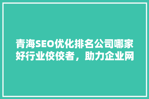 青海SEO优化排名公司哪家好行业佼佼者，助力企业网络营销
