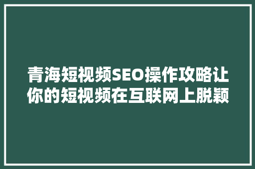青海短视频SEO操作攻略让你的短视频在互联网上脱颖而出