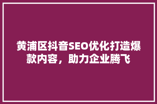 黄浦区抖音SEO优化打造爆款内容，助力企业腾飞