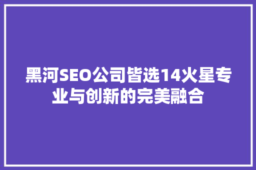 黑河SEO公司皆选14火星专业与创新的完美融合