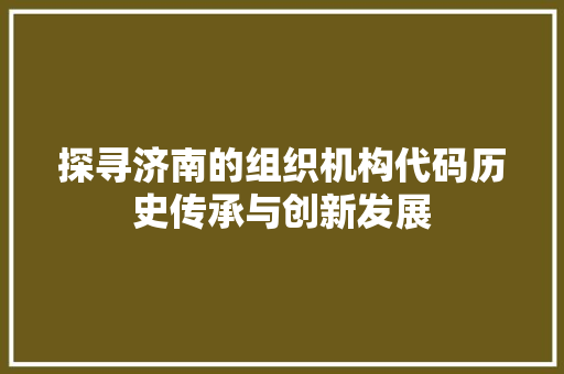 探寻济南的组织机构代码历史传承与创新发展