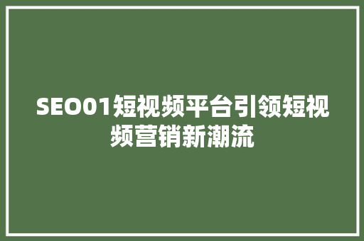 SEO01短视频平台引领短视频营销新潮流