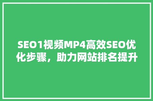 SEO1视频MP4高效SEO优化步骤，助力网站排名提升