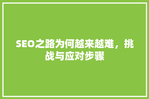 SEO之路为何越来越难，挑战与应对步骤