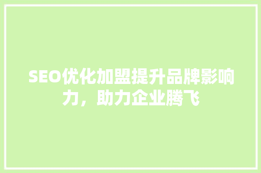 SEO优化加盟提升品牌影响力，助力企业腾飞