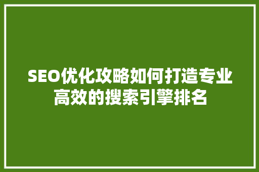 SEO优化攻略如何打造专业高效的搜索引擎排名