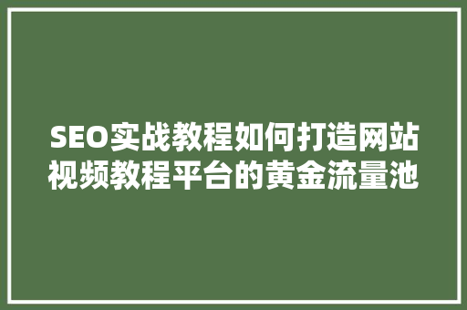SEO实战教程如何打造网站视频教程平台的黄金流量池