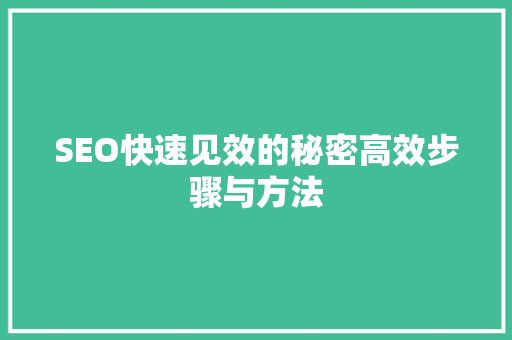SEO快速见效的秘密高效步骤与方法