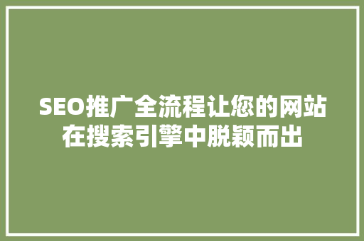 SEO推广全流程让您的网站在搜索引擎中脱颖而出