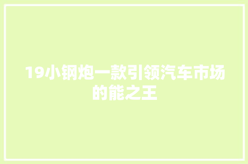 19小钢炮一款引领汽车市场的能之王