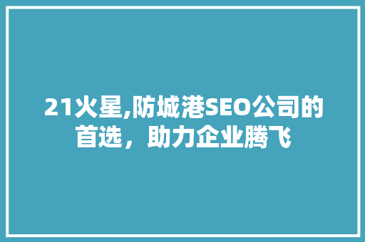 21火星,防城港SEO公司的首选，助力企业腾飞
