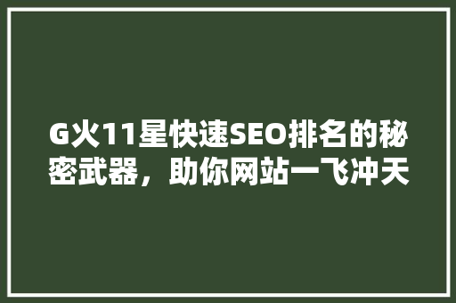 G火11星快速SEO排名的秘密武器，助你网站一飞冲天
