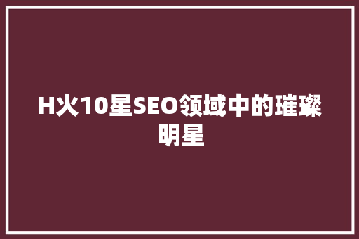 H火10星SEO领域中的璀璨明星