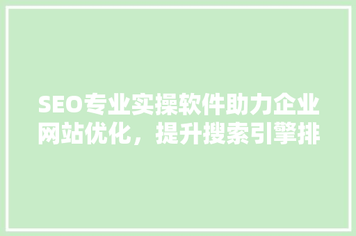 SEO专业实操软件助力企业网站优化，提升搜索引擎排名