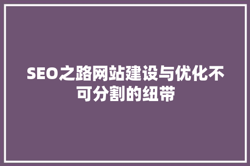 SEO之路网站建设与优化不可分割的纽带