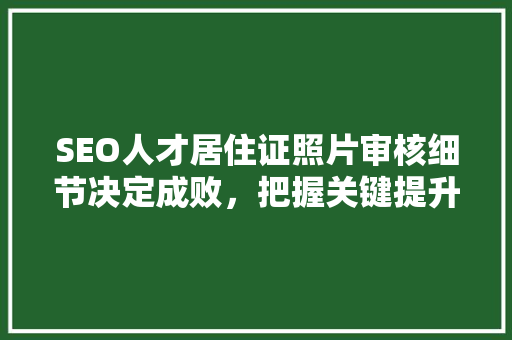 SEO人才居住证照片审核细节决定成败，把握关键提升审核效率