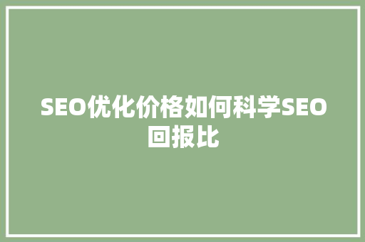 SEO优化价格如何科学SEO回报比