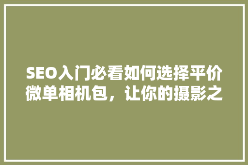 SEO入门必看如何选择平价微单相机包，让你的摄影之旅更轻松  第1张