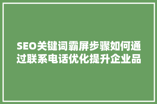 SEO关键词霸屏步骤如何通过联系电话优化提升企业品牌知名度