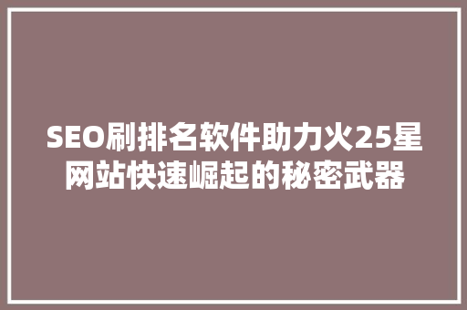 SEO刷排名软件助力火25星网站快速崛起的秘密武器