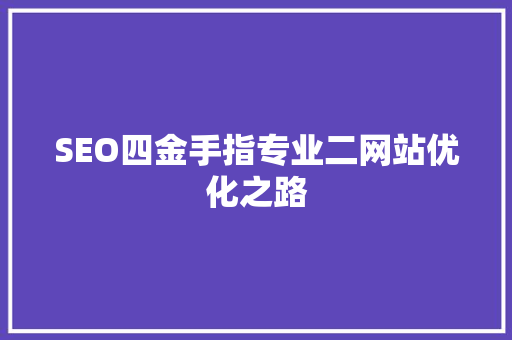 SEO四金手指专业二网站优化之路
