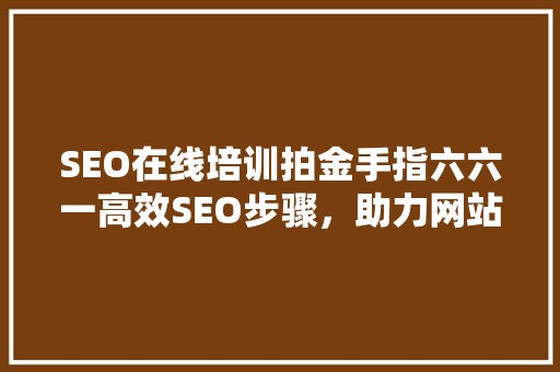 SEO在线培训拍金手指六六一高效SEO步骤，助力网站优化  第1张