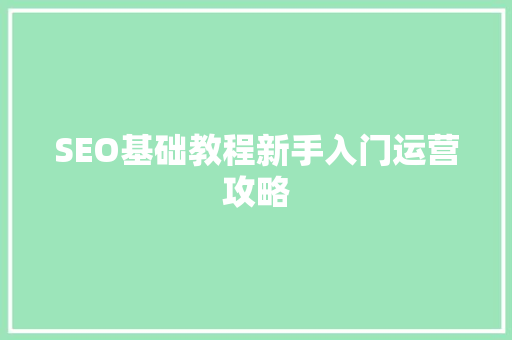 SEO基础教程新手入门运营攻略