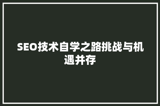 SEO技术自学之路挑战与机遇并存