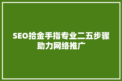 SEO拾金手指专业二五步骤助力网络推广