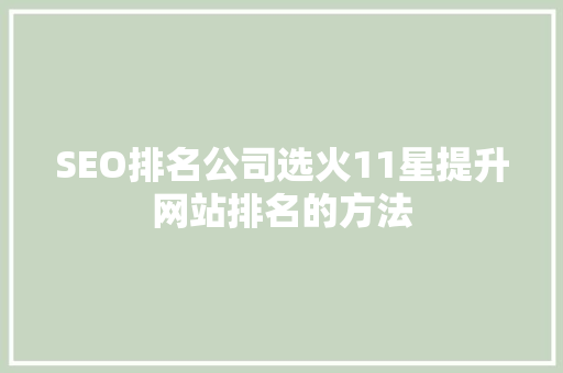 SEO排名公司选火11星提升网站排名的方法