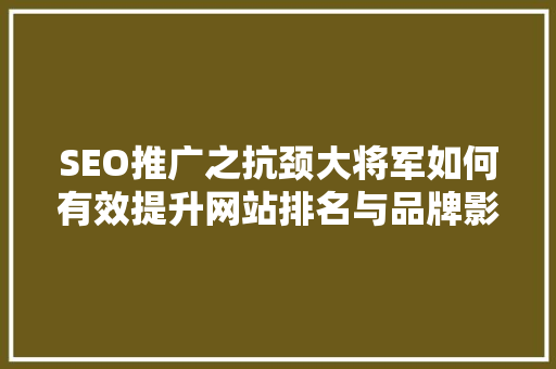 SEO推广之抗颈大将军如何有效提升网站排名与品牌影响力