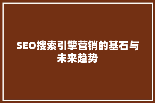 SEO搜索引擎营销的基石与未来趋势