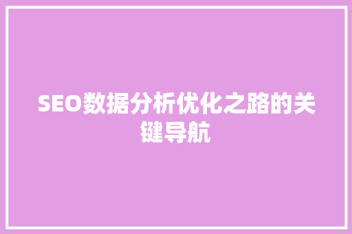 SEO数据分析优化之路的关键导航