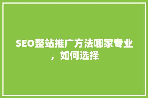 SEO整站推广方法哪家专业，如何选择