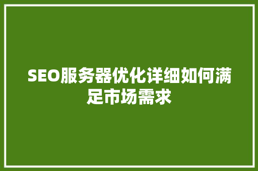 SEO服务器优化详细如何满足市场需求