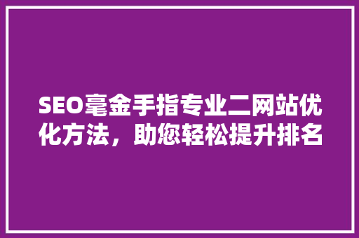 SEO毫金手指专业二网站优化方法，助您轻松提升排名