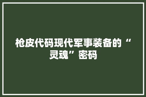 枪皮代码现代军事装备的“灵魂”密码