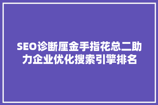SEO诊断厘金手指花总二助力企业优化搜索引擎排名