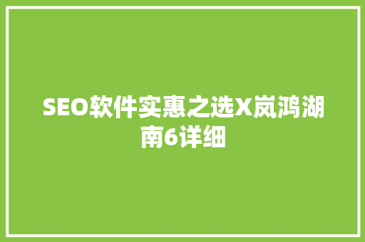 SEO软件实惠之选X岚鸿湖南6详细